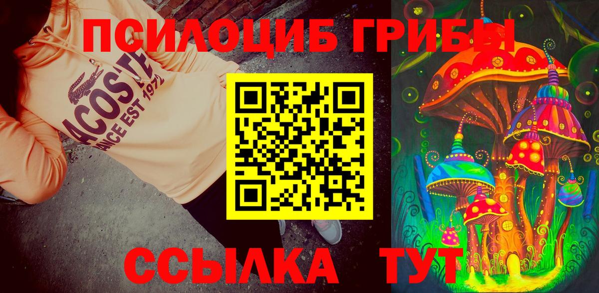 Канабис  МЕТАДОН  Протвино  КОКАИН  ГАШИШ  Меф кристаллы  NBOMe  Каннабис  Вход с VPN 