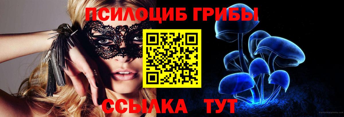 Галлюциногенные грибы Psilocybe  Псилоцибиновые грибы MAGIC MUSHROOMS  Протвино  Вход с VPN 